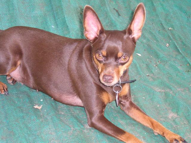Rusty