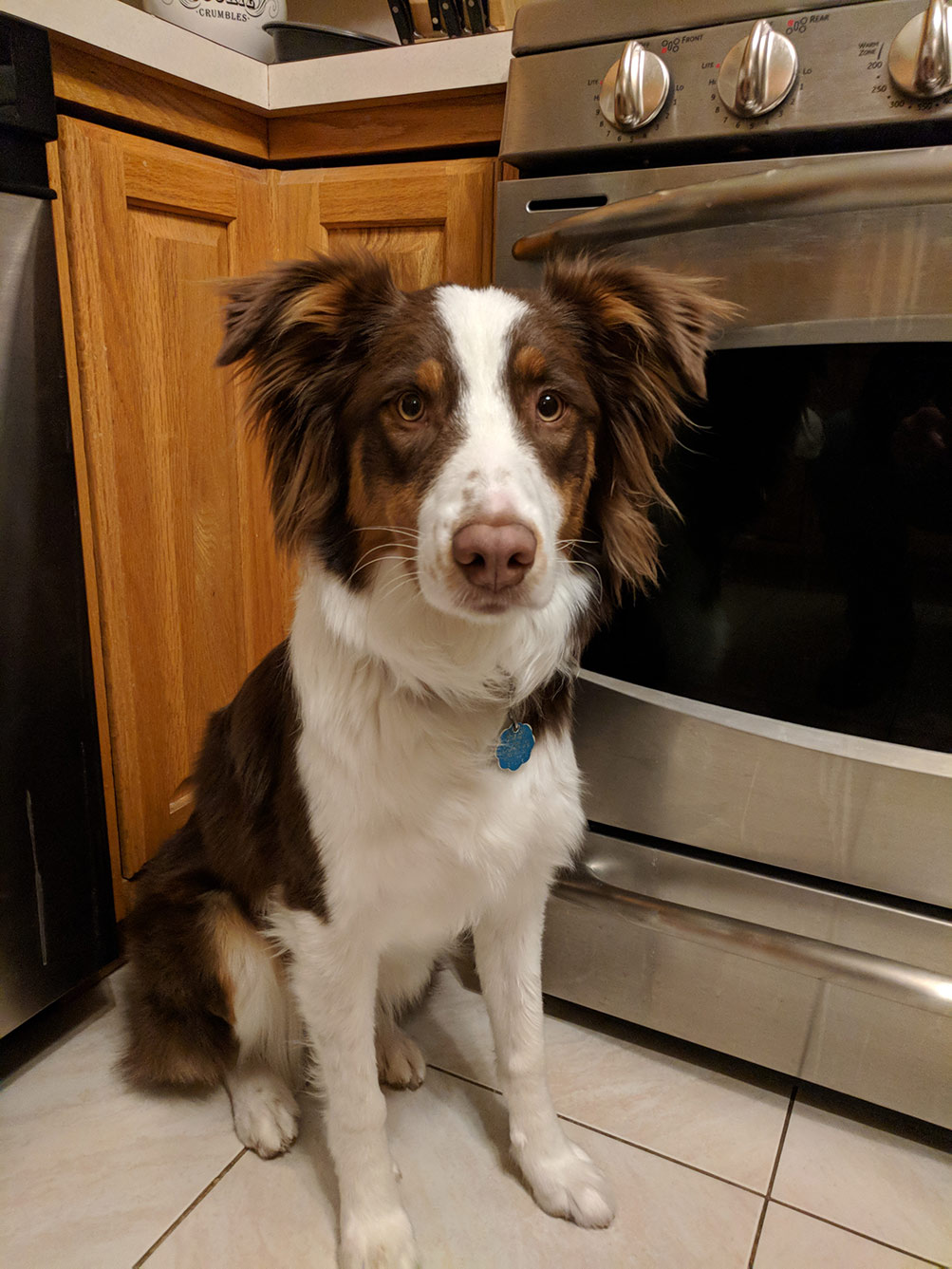 Otto
